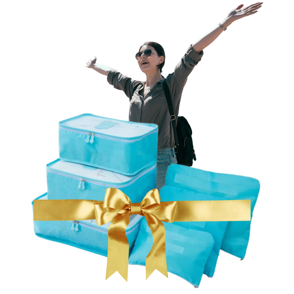 Lot de 6 petits sacs de voyage pour valise - Ozerty