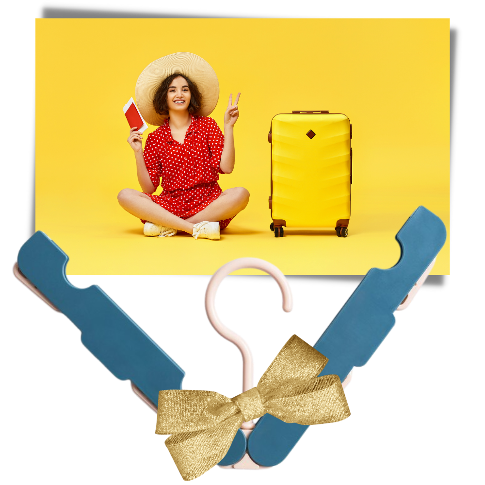 Lot de 2 cintres portables - Ozerty