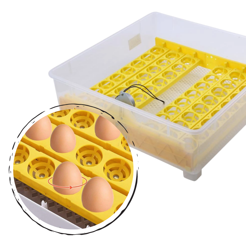 Automatic egg incubator (48 eggs)