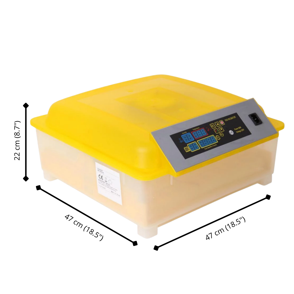 Automatic egg incubator (48 eggs)