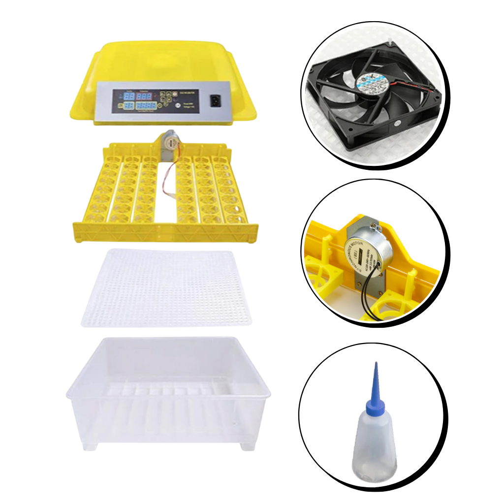 Automatic egg incubator (48 eggs)