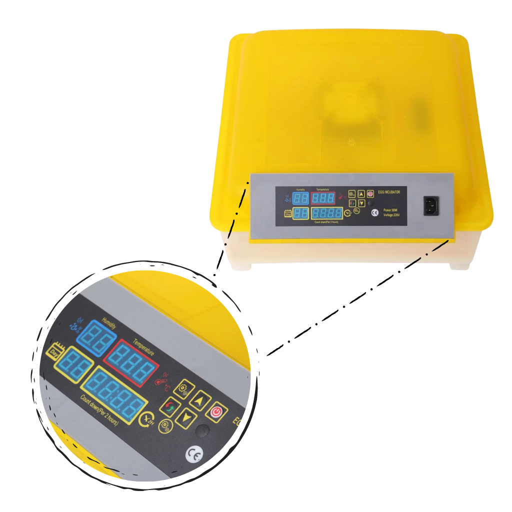 Automatic egg incubator (48 eggs)