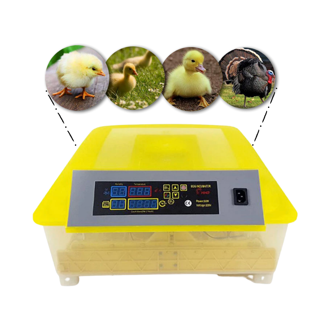 Automatic egg incubator (48 eggs)