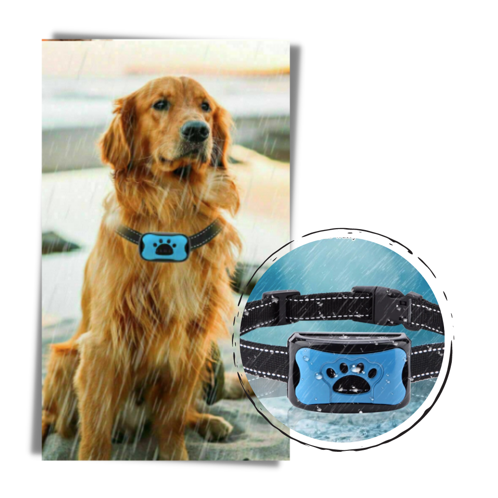 Anti-bark collar