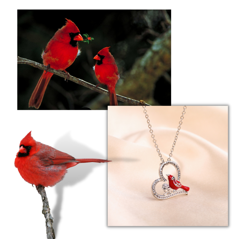 Collier à pendentif de cardinal en forme de cœur - Ozerty