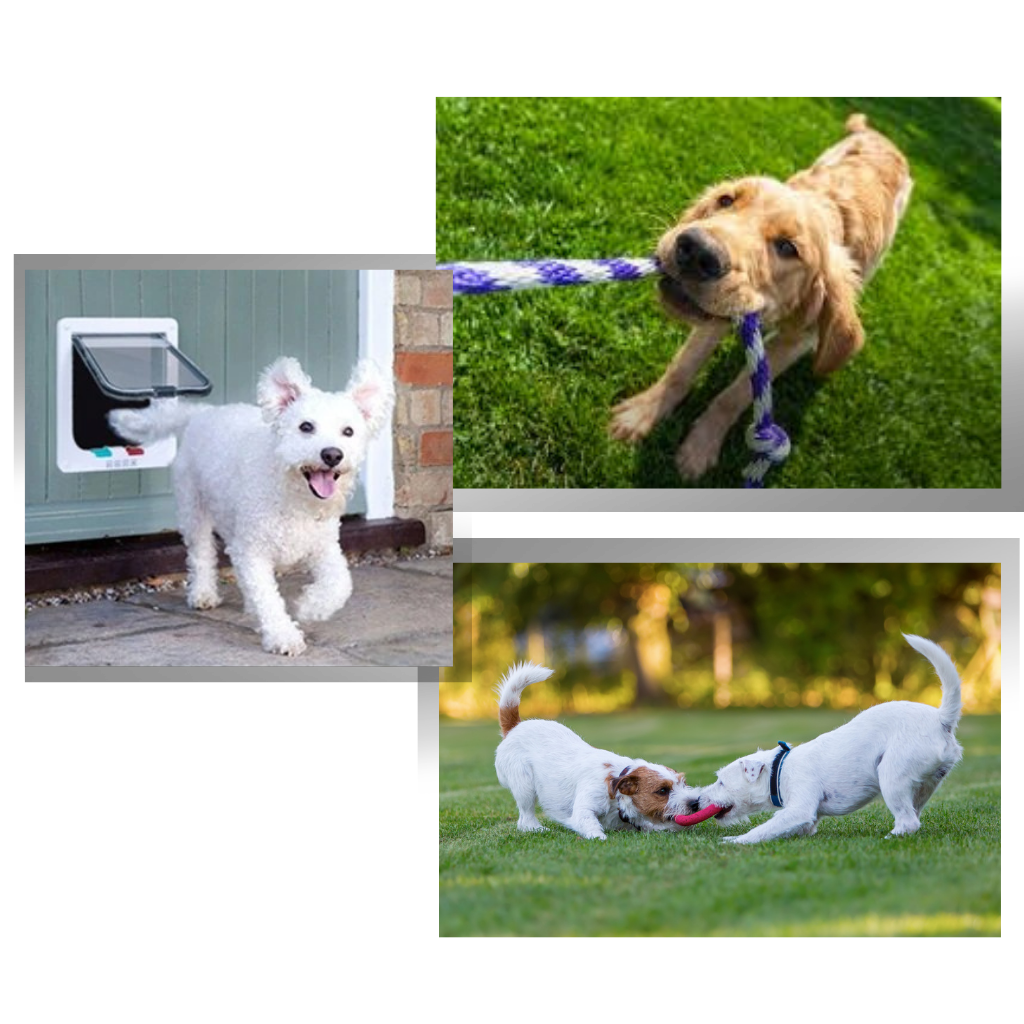 Porte chatière - Ozerty