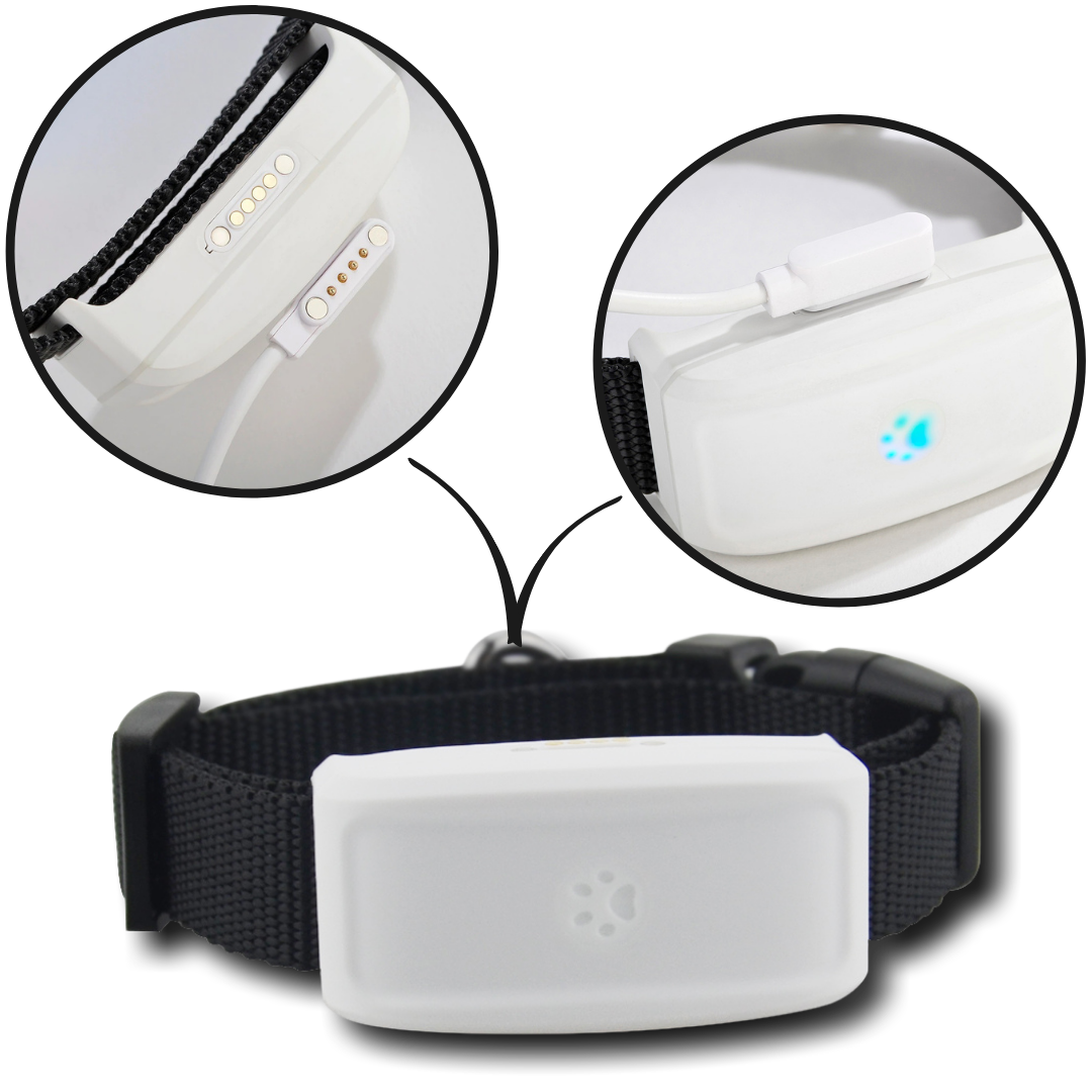 GPS tracking collar for pets