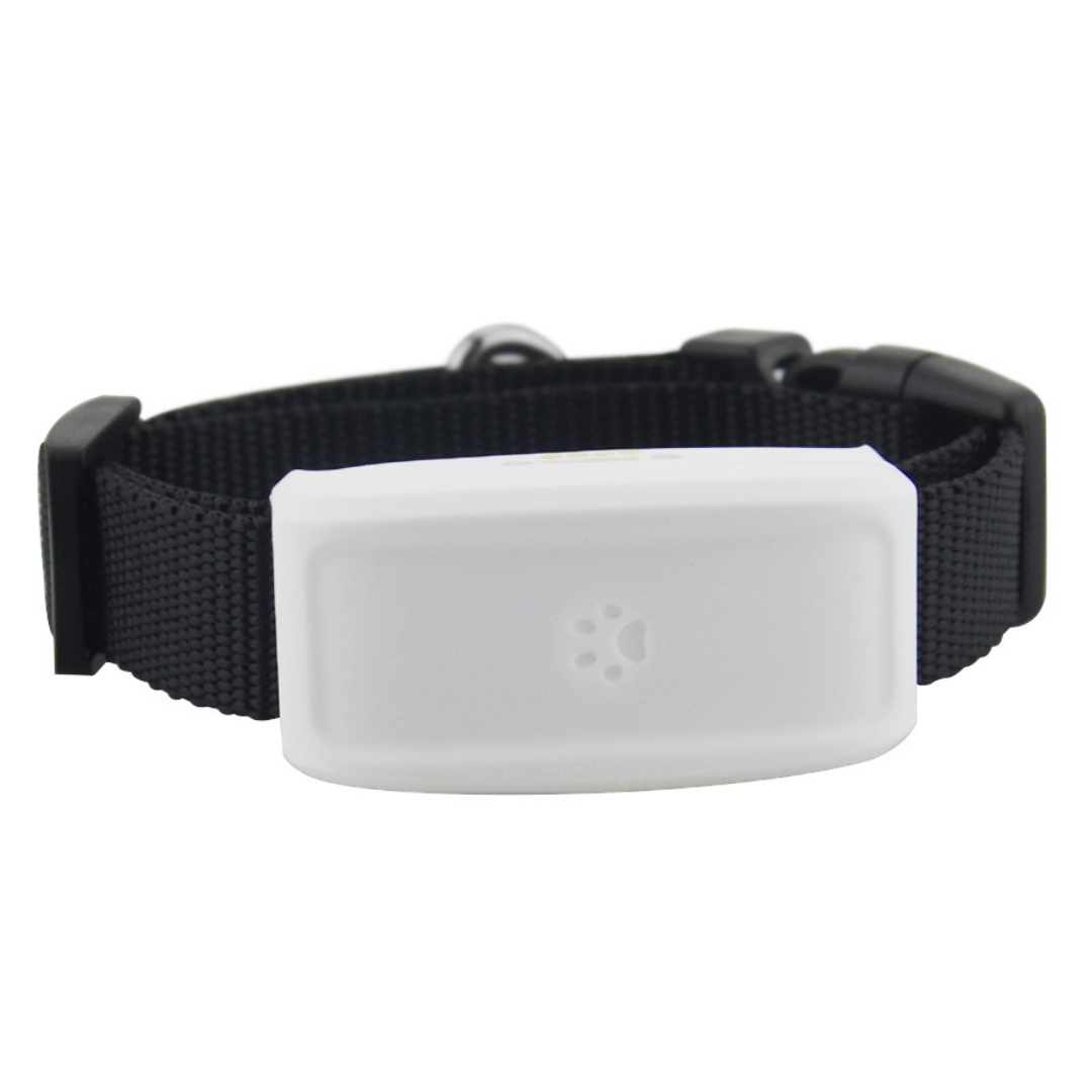 GPS tracking collar for pets