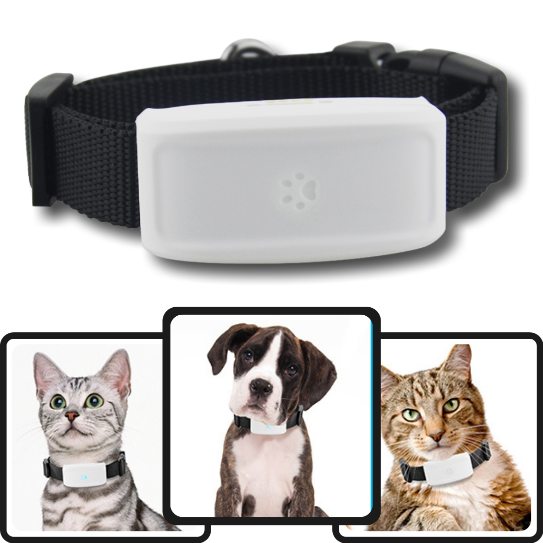 GPS tracking collar for pets