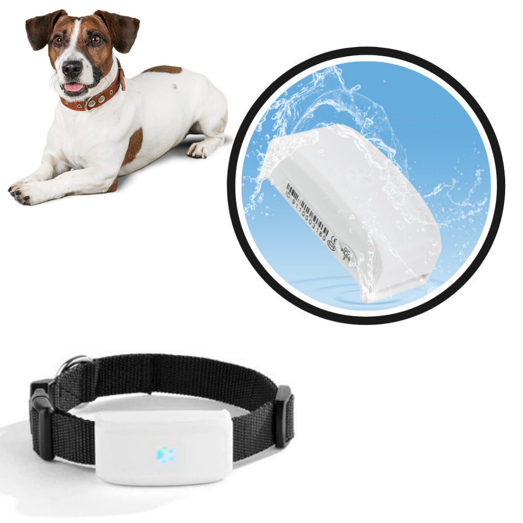GPS tracking collar for pets