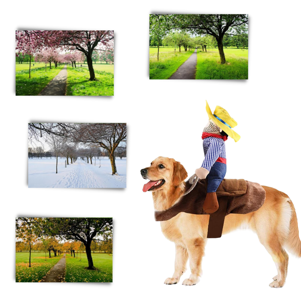 Déguisement de cow-boy pour chien - Ozerty