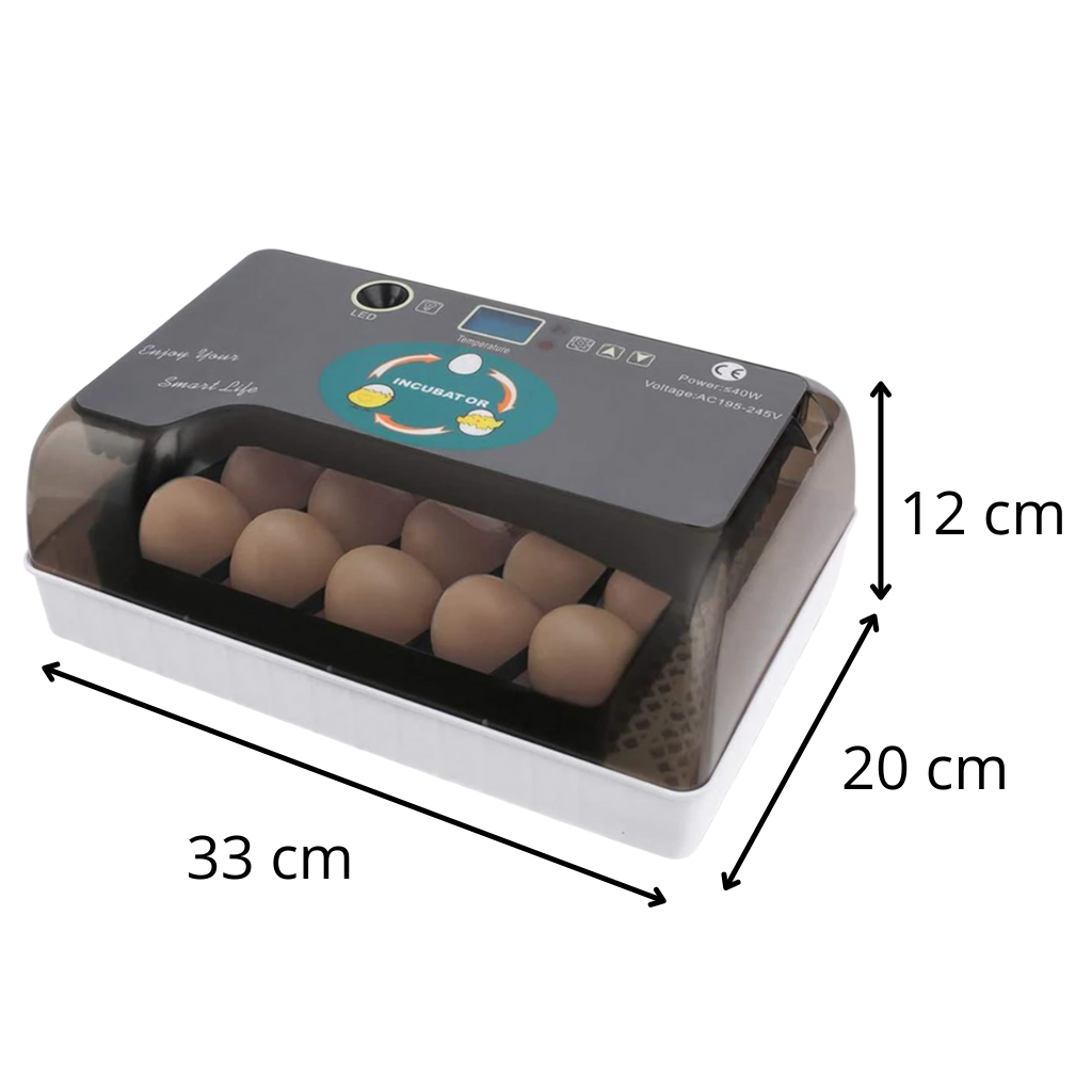 Automatic egg incubator