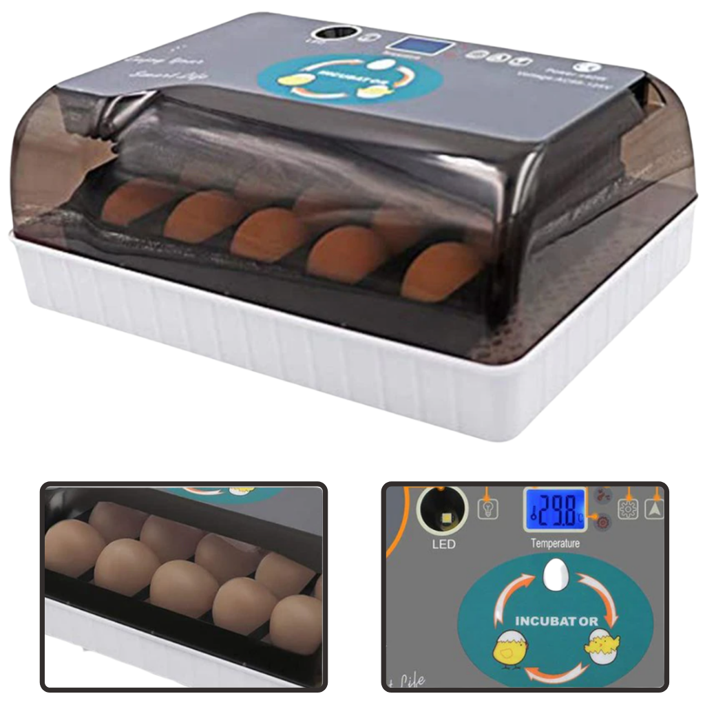 Automatic egg incubator