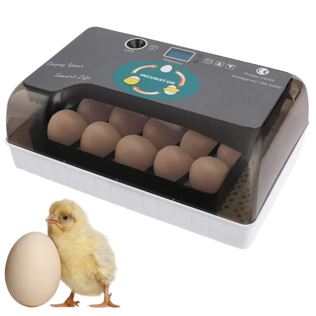 Automatic egg incubator