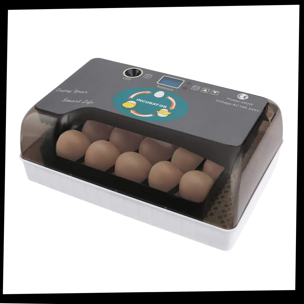 Automatic egg incubator