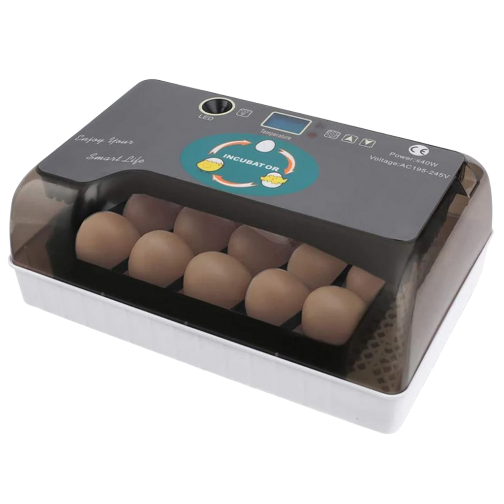 Automatic egg incubator