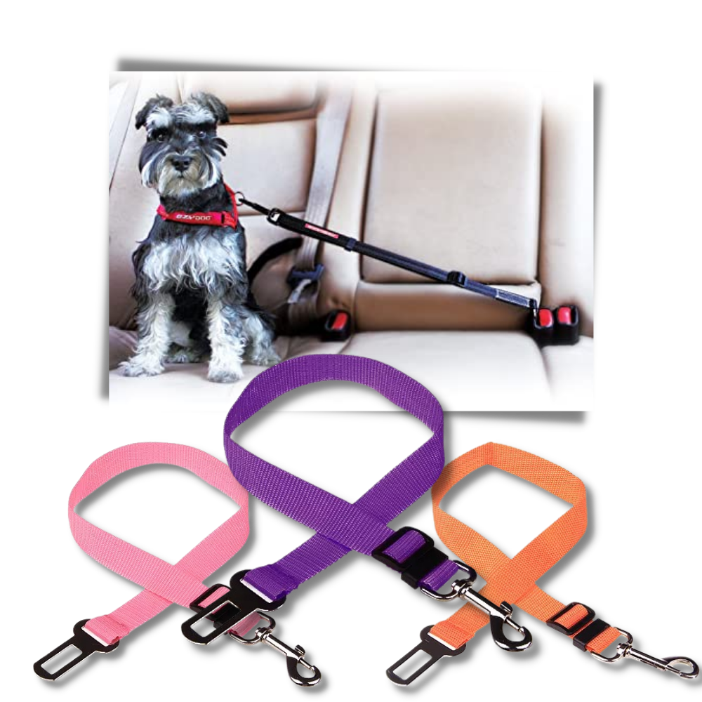 Ceinture de sécurité réglable et résistante pour chiens en voiture