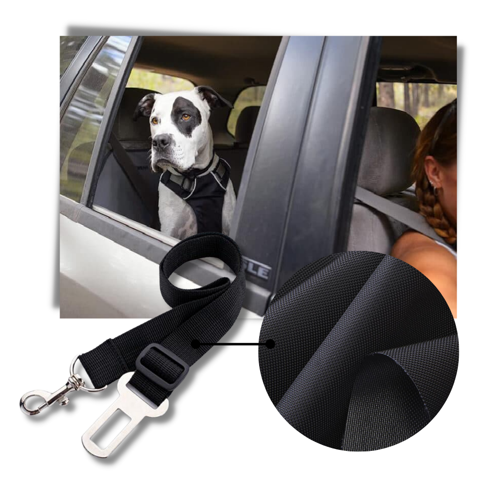 Ceinture de sécurité réglable et résistante pour chiens en voiture - Ozerty
