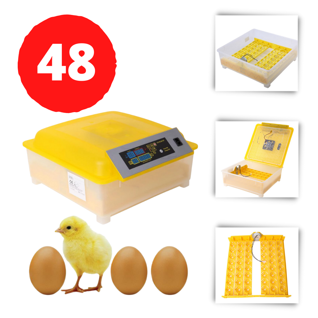 Automatic egg incubator (48 eggs)