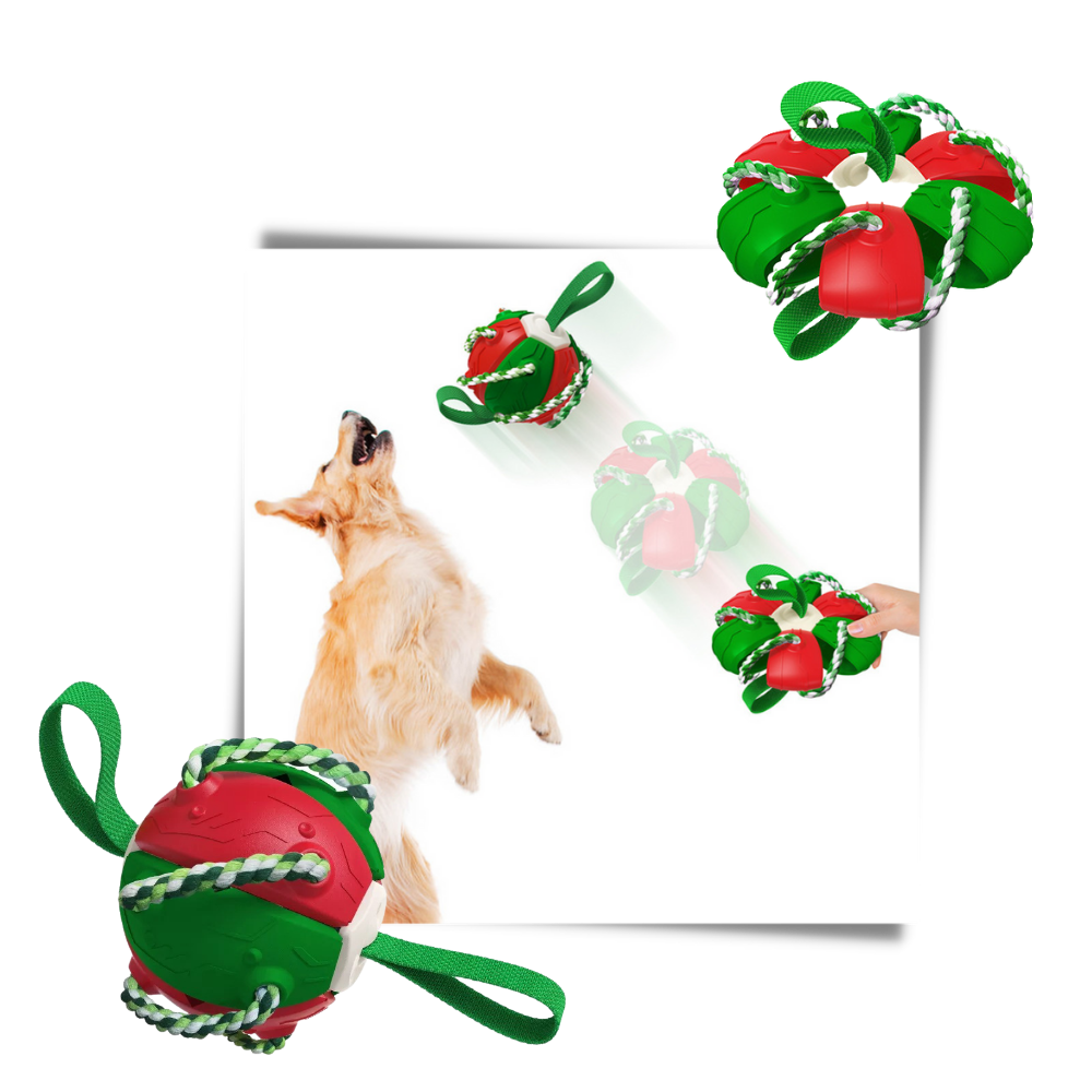 Ballon de frisbee pour chien  - Ozerty