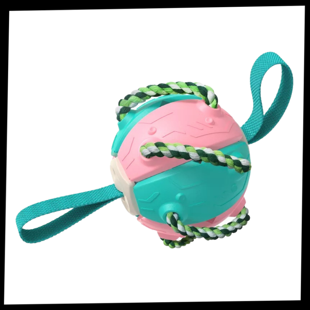 Ballon de frisbee pour chien  - Ozerty