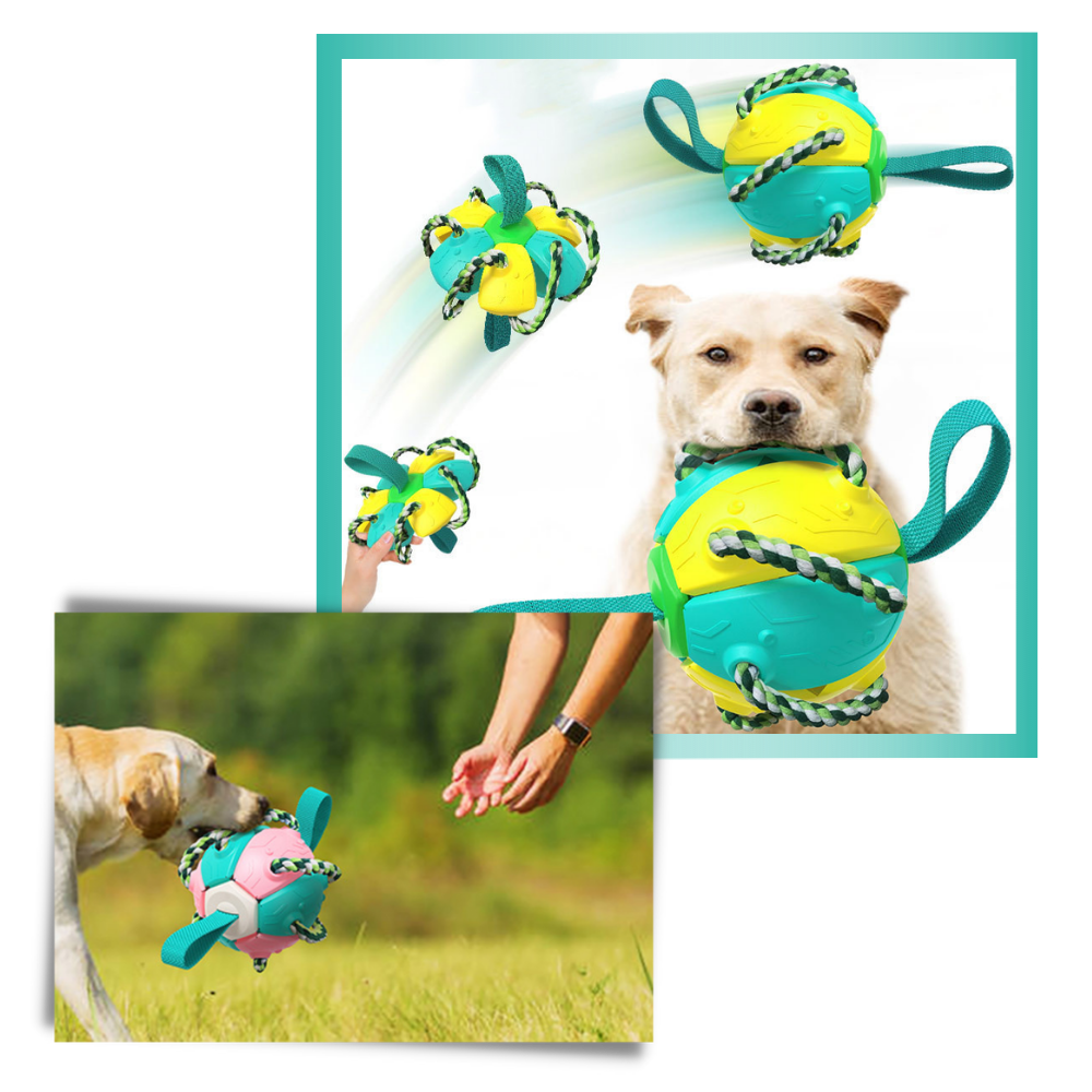 Ballon de frisbee pour chien  - Ozerty