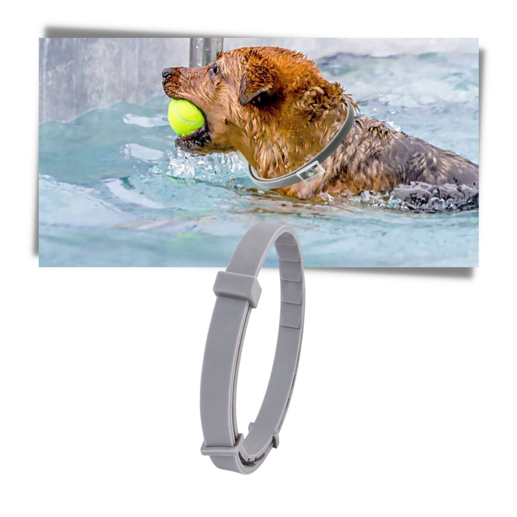 Collier anti-puces pour animaux de compagnie - Ozerty