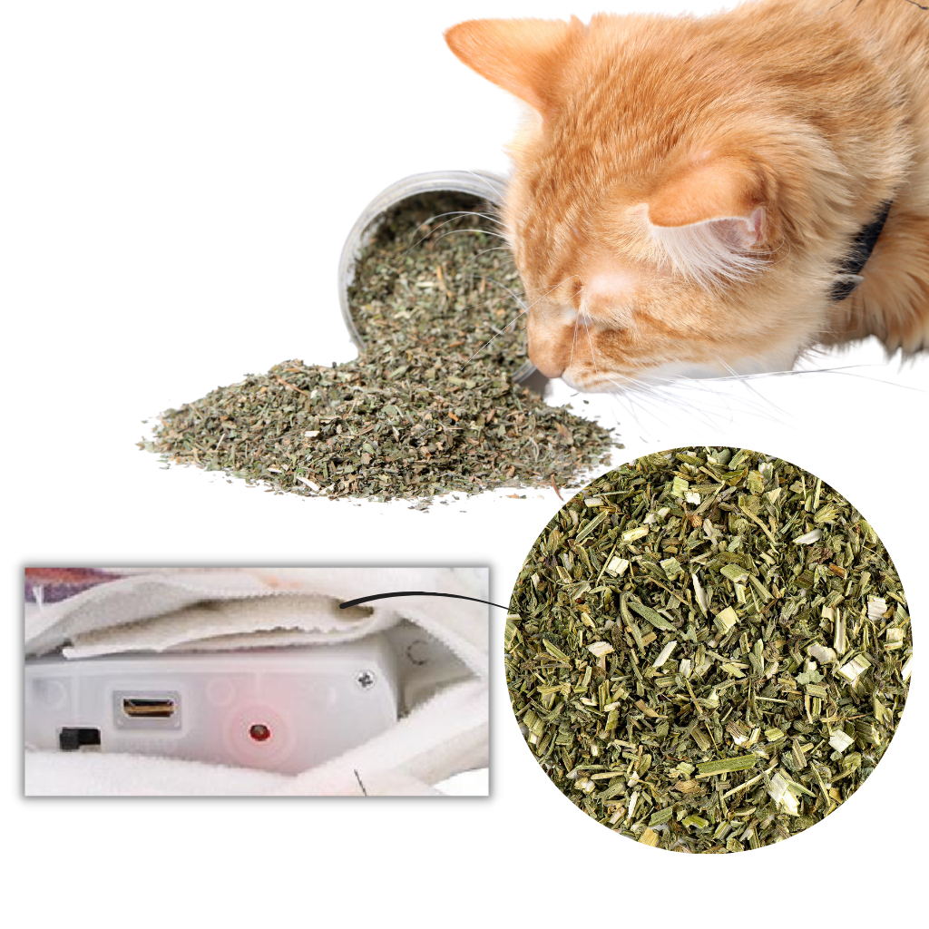 Jouet poisson pour chat - Ozerty