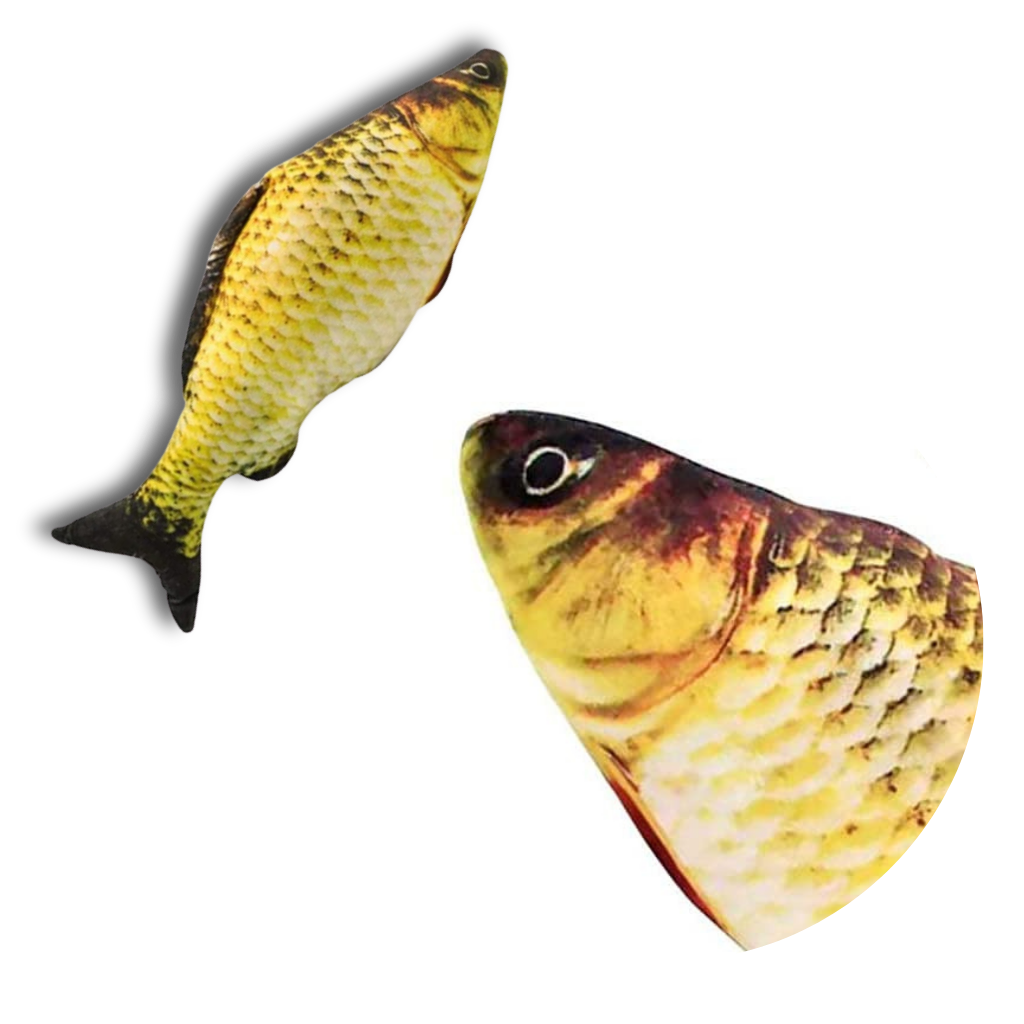 Jouet poisson pour chat - Ozerty