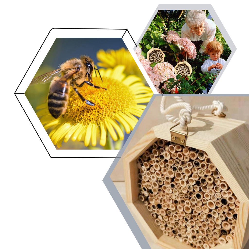 Maison d'abeilles hexagonale en bois  - Ozerty