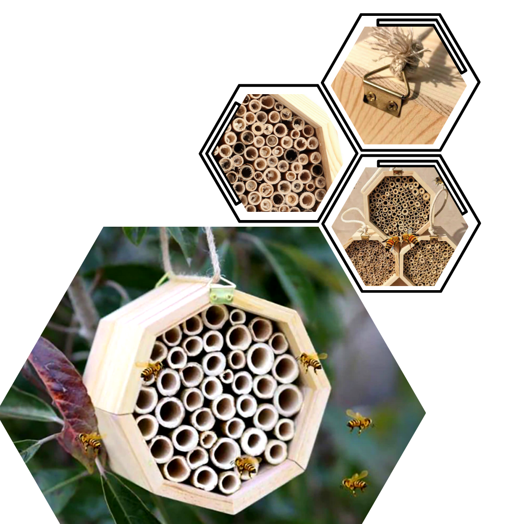 Maison d'abeilles hexagonale en bois  - Ozerty