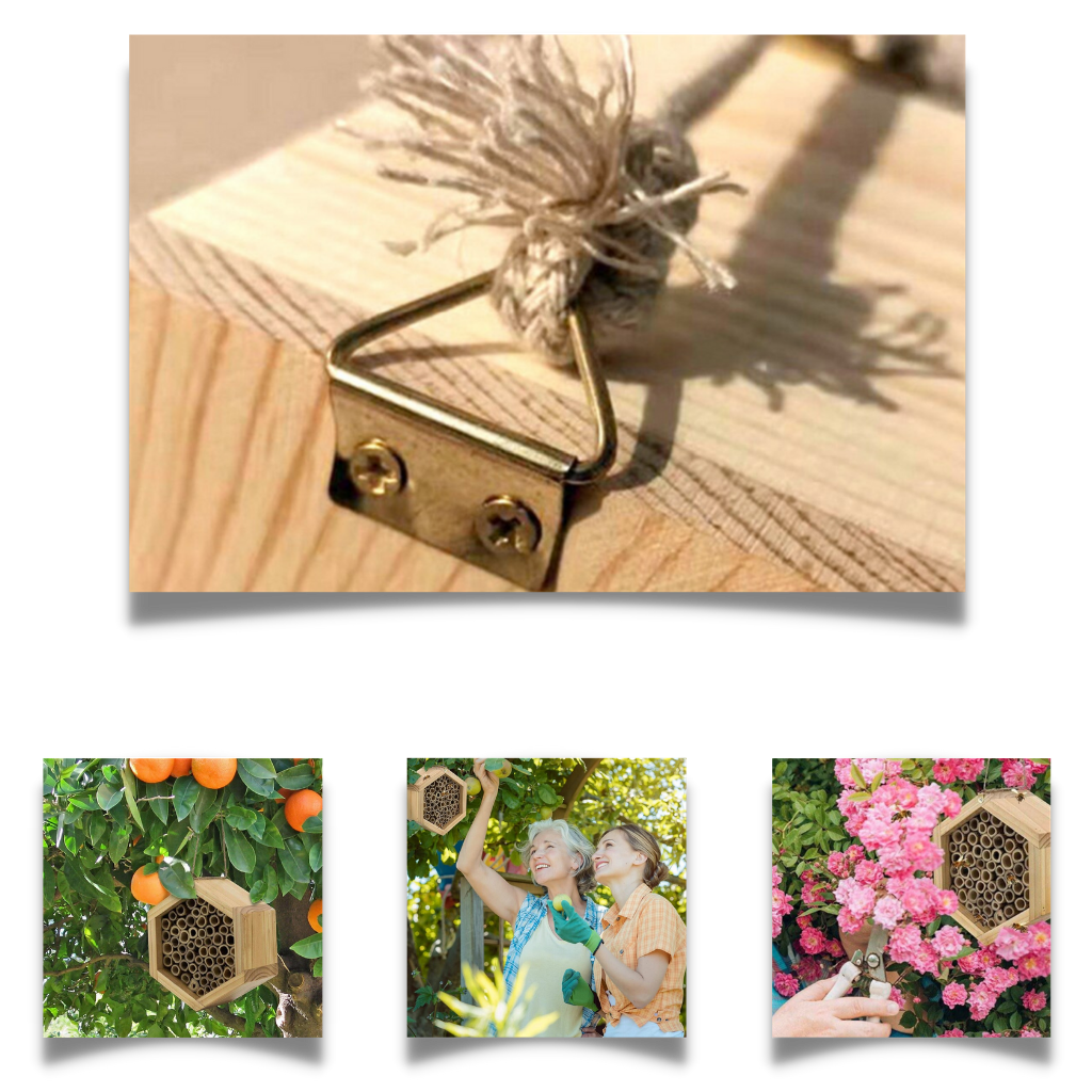 Maison d'abeilles hexagonale en bois  - Ozerty