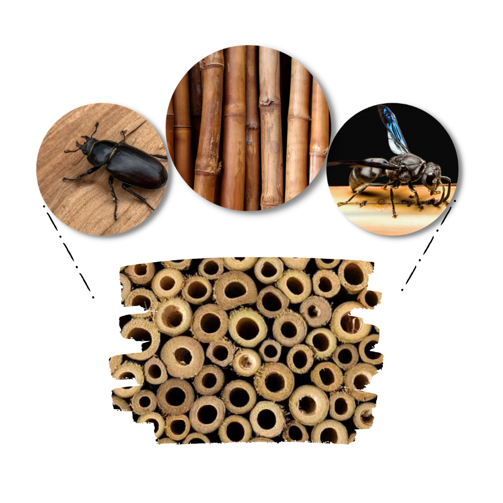 Maison d'abeilles hexagonale en bois  - Ozerty