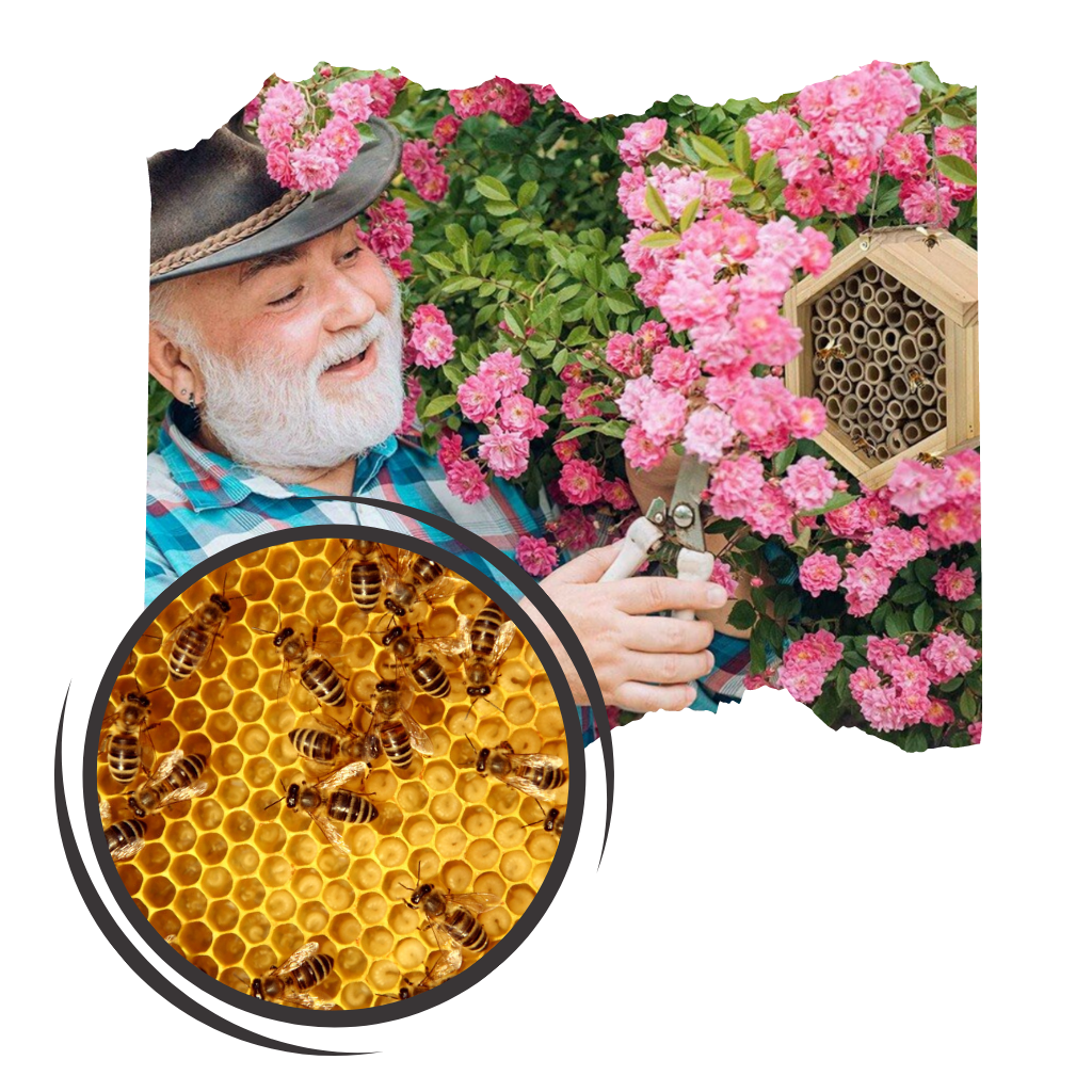 Maison d'abeilles hexagonale en bois  - Ozerty