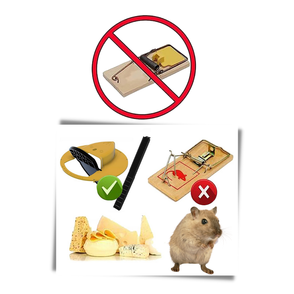 Piège à rats et souris en seau - Ozerty