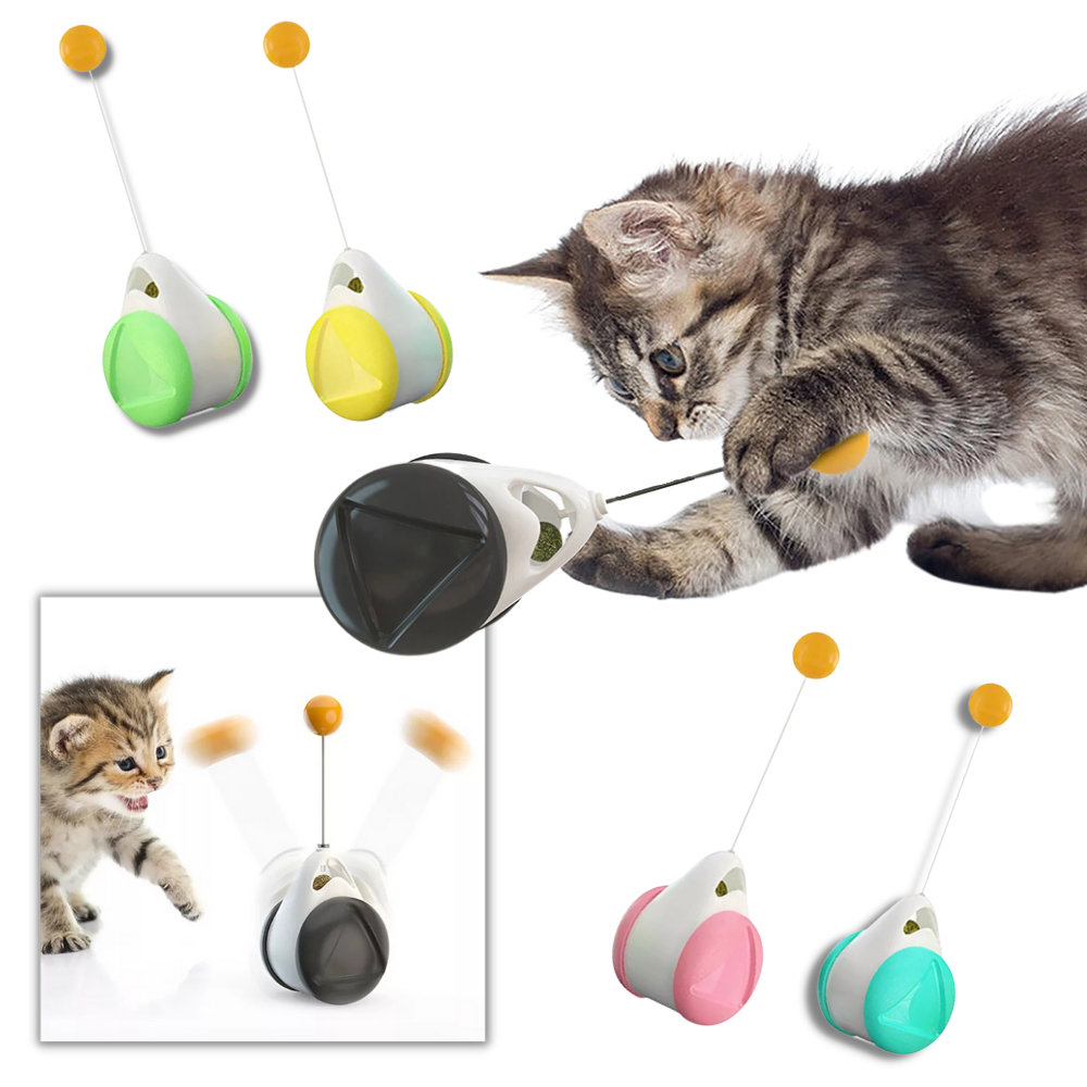 Jouet à balle interactif pour chats