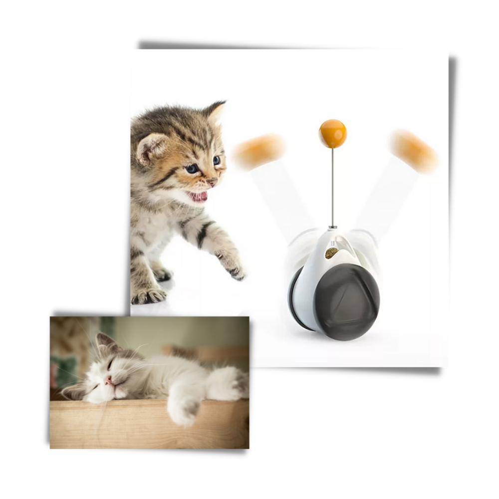 Jouet à balle interactif pour chats - Ozerty