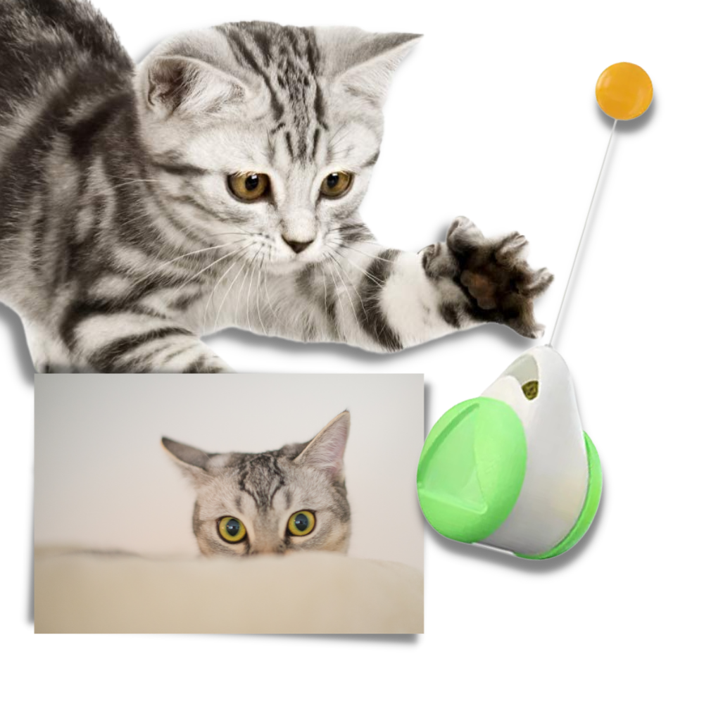 Jouet à balle interactif pour chats - Ozerty