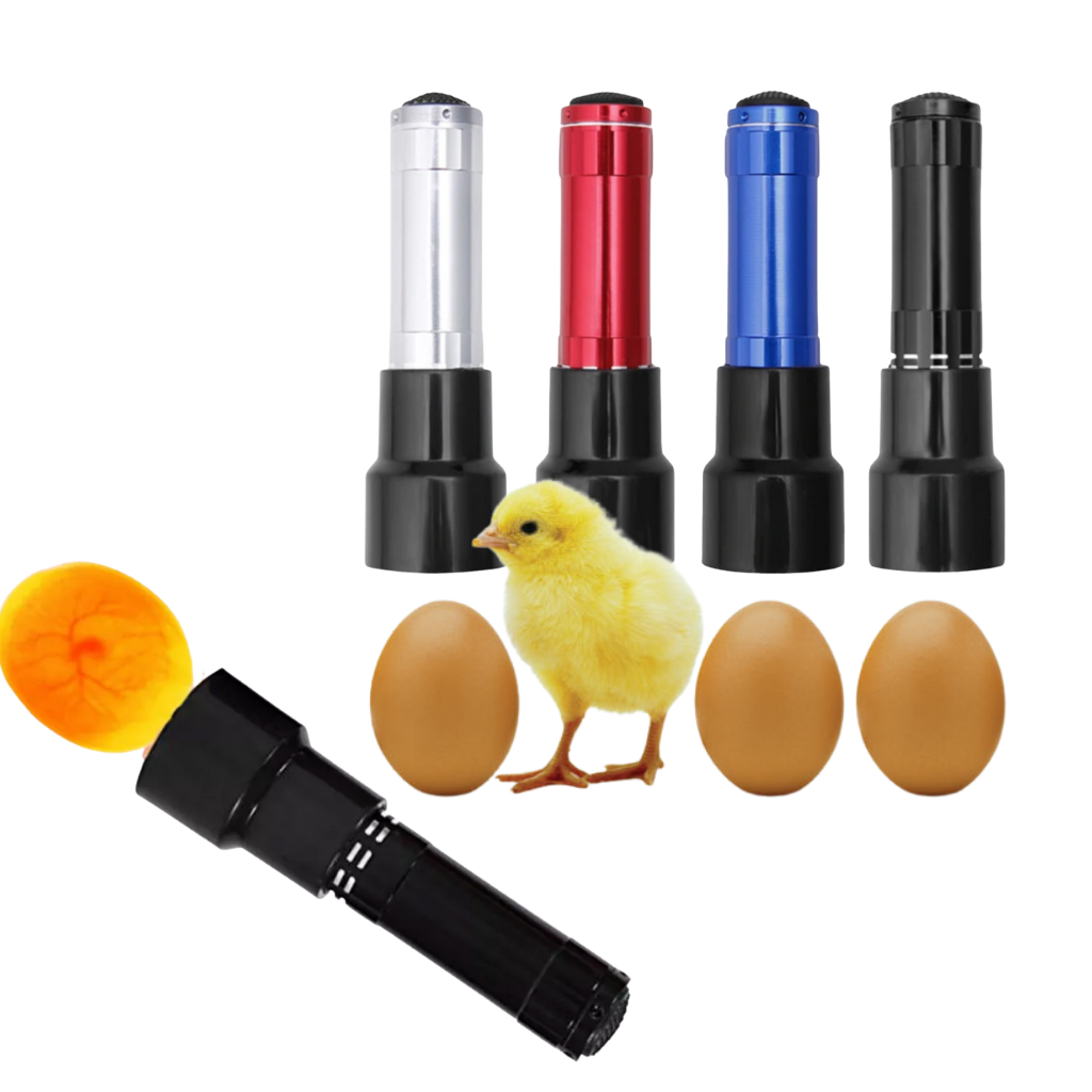 Titan Mire-Œuf Ultra Puissant LED – Voyez Le Cœur Battre De Votre Poussin !