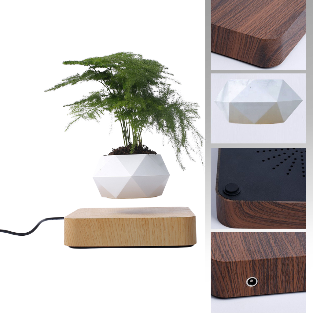 Pot à plante flottant en lévitation - Ozerty