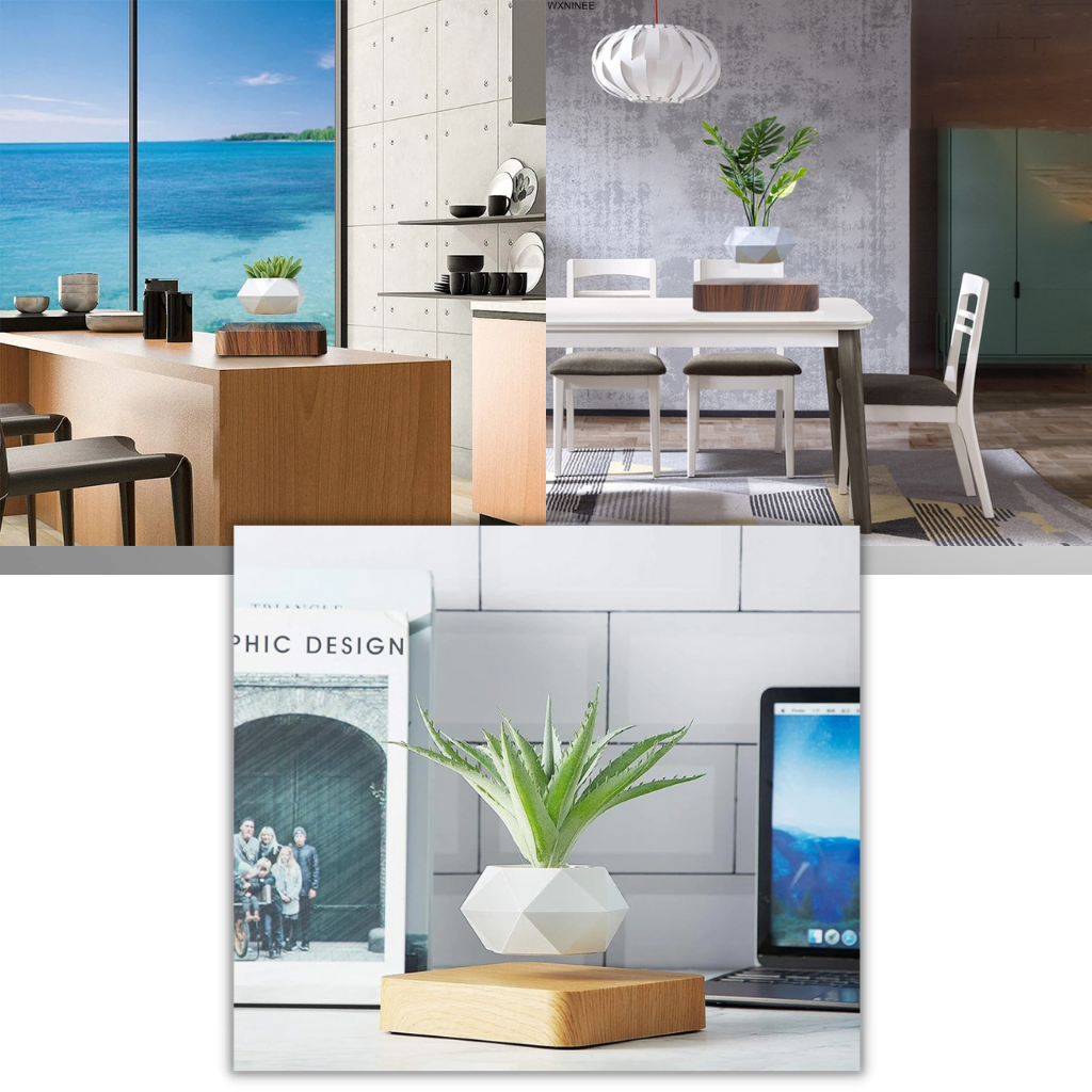 Pot à plante flottant en lévitation - Ozerty