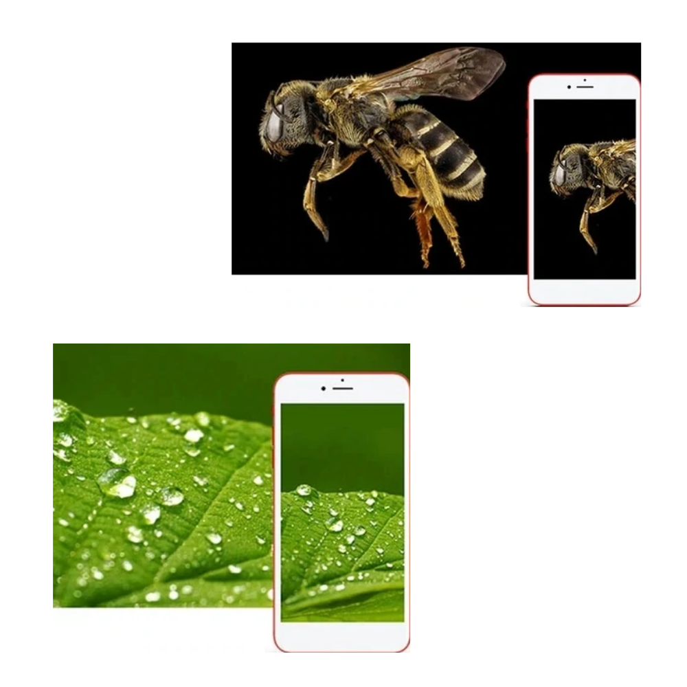 Microscope numérique à USB avec LED - Ozerty