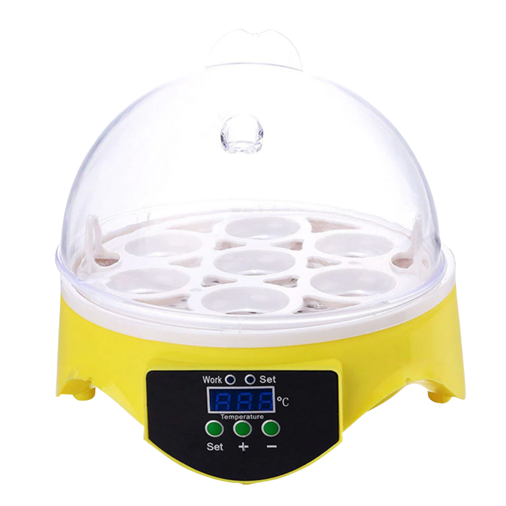 Mini automatic egg incubator