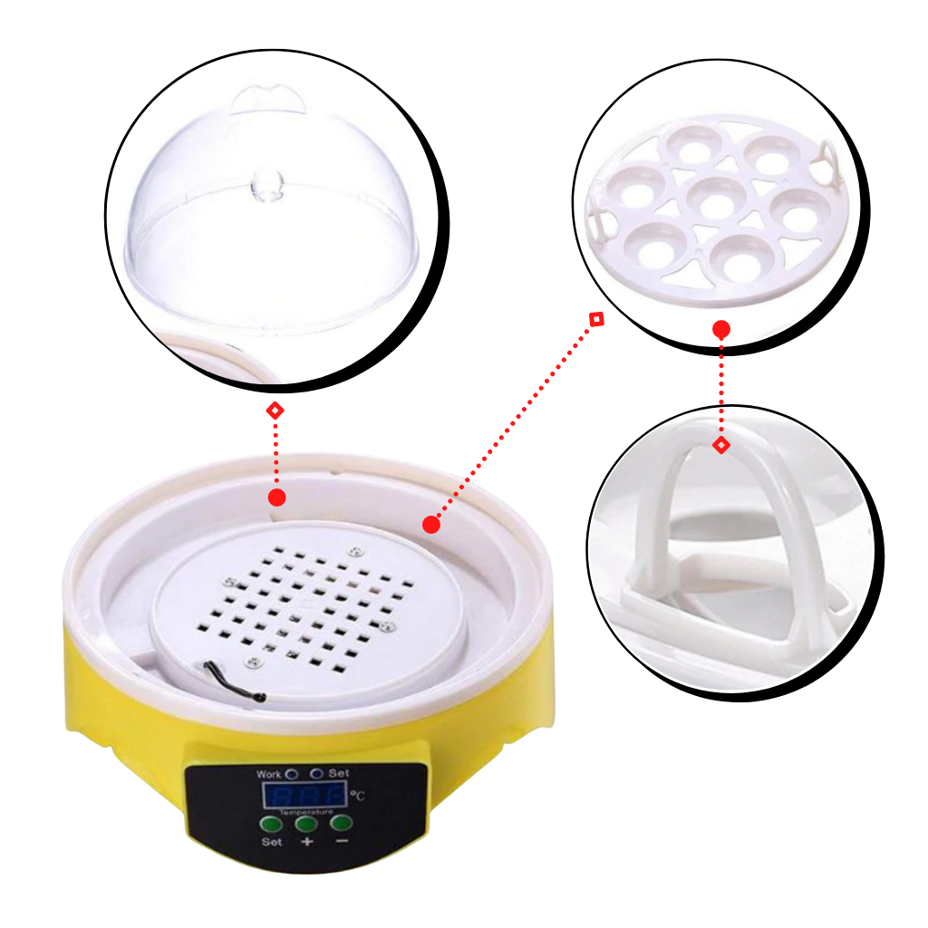 Mini incubateur automatique d'oeufs