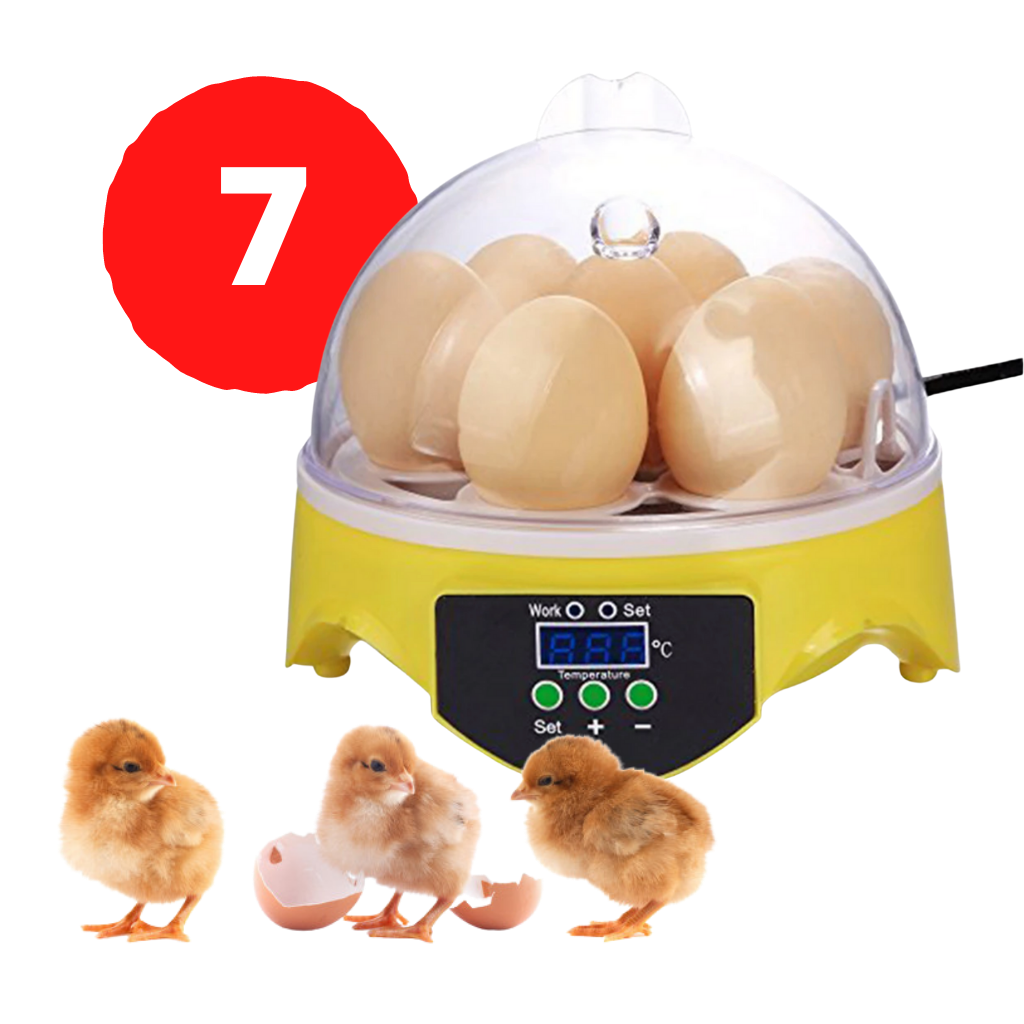 Mini automatic egg incubator