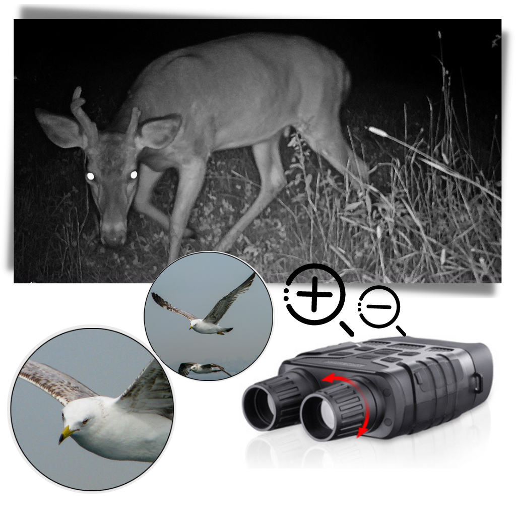Jumelles de vision nocturne - Ozerty