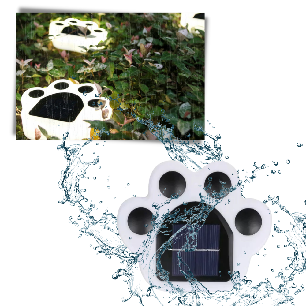 Lumière du chemin en forme d'empreinte de patte à énergie solaire - Ozerty