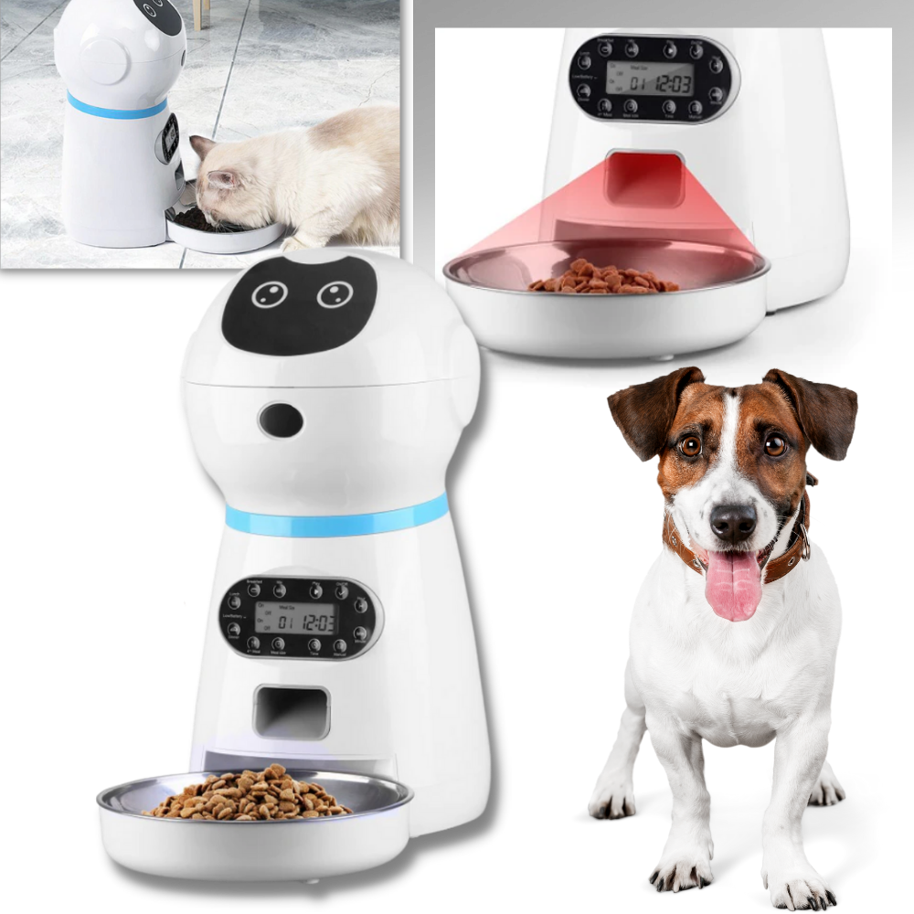 Distributeur automatique de nourriture pour animaux de compagnie