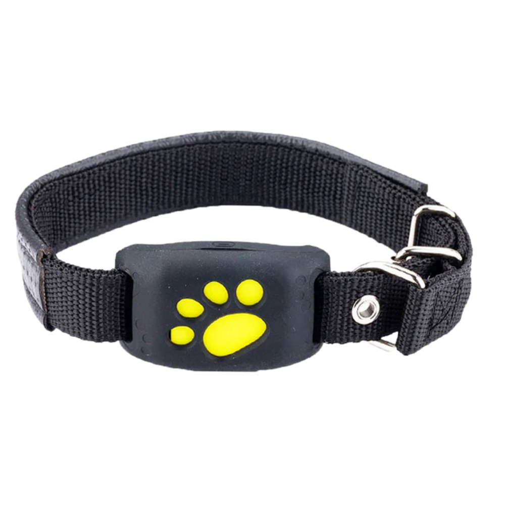 Collier de repérage GPS pour animaux de compagnie - Ozerty