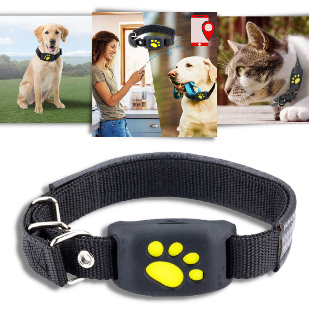 Collier de repérage GPS pour animaux de compagnie